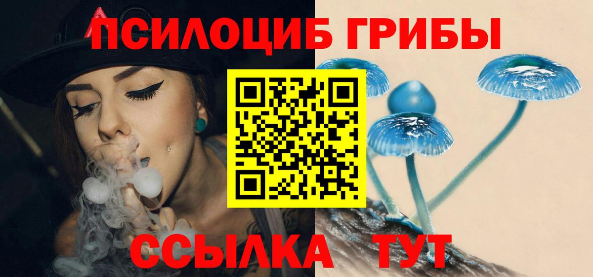 Псилоцибиновые грибы GOLDEN TEACHER  магазин продажи   Симферополь  Псилоцибиновые грибы GOLDEN TEACHER  Вход с VPN 